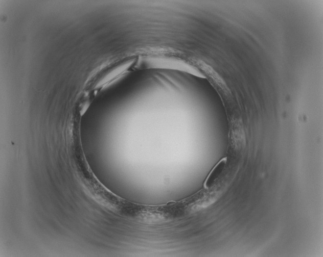 X0000081560207200701291158