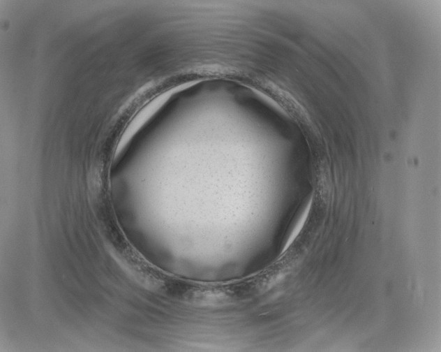 X0000081560208200701291158