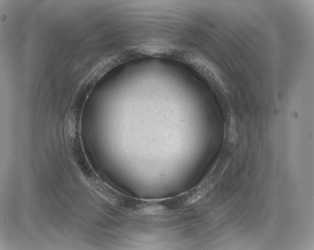 X0000081560210200701291158