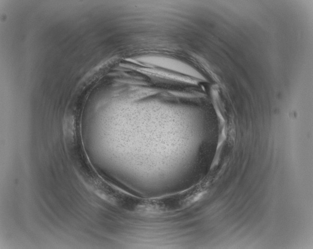 X0000081560211200701291158