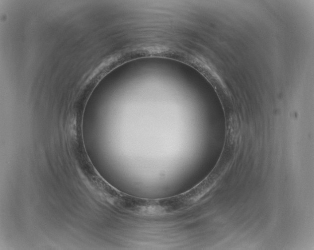 X0000081560212200701291158