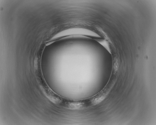 X0000081560213200701291158