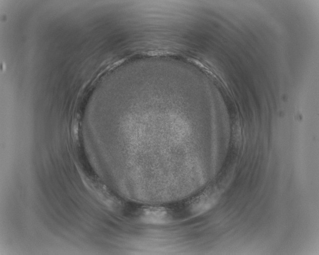 X0000081560214200701291158