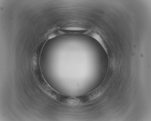 X0000081560215200701291158