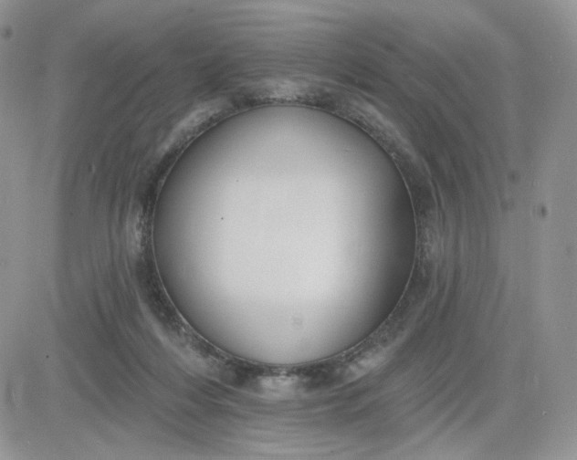 X0000081560216200701291158