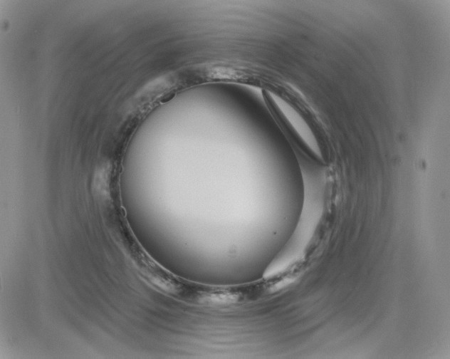 X0000081560217200701291158