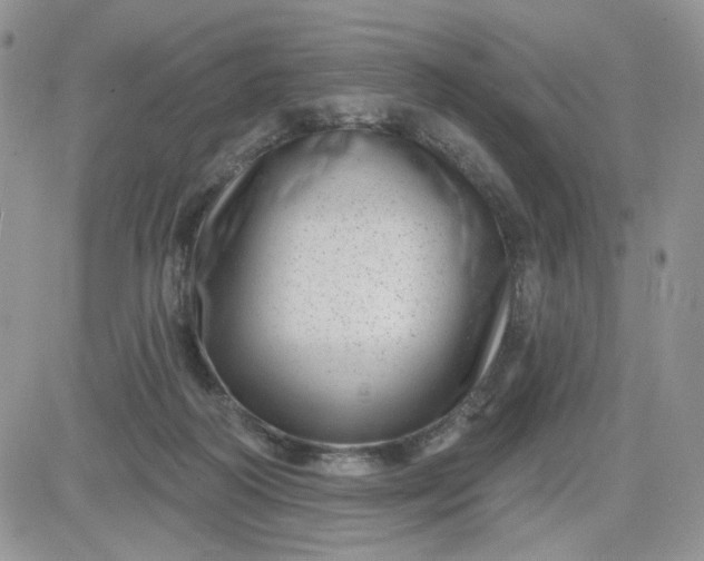 X0000081560218200701291158