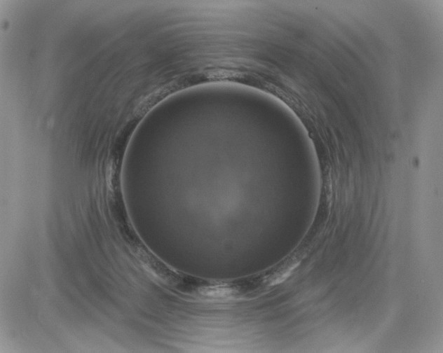 X0000081560219200701291158