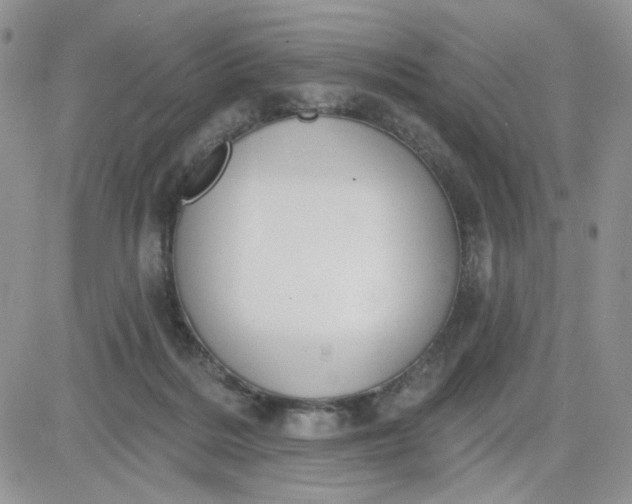 X0000081560220200701291158