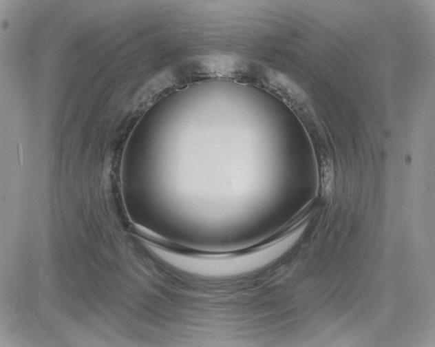 X0000081560221200701291158