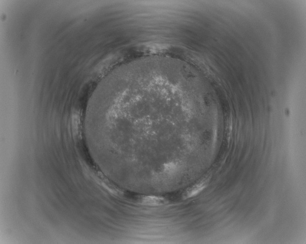 X0000081560222200701291158