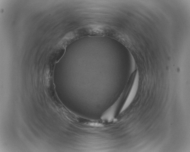 X0000081560223200701291158