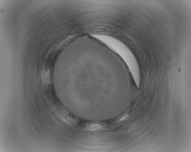 X0000081560224200701291158