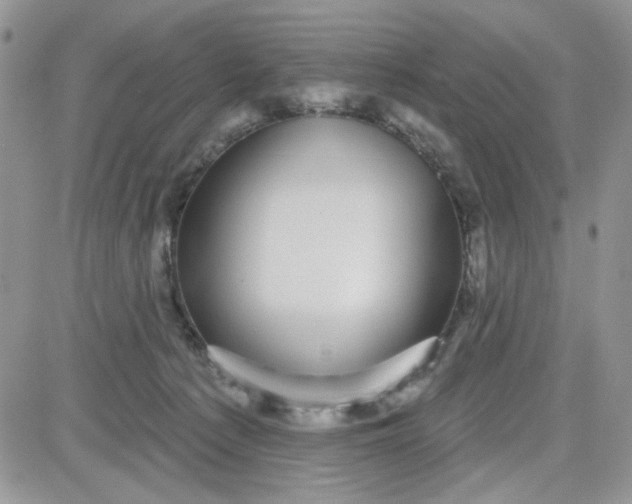 X0000081560225200701291158