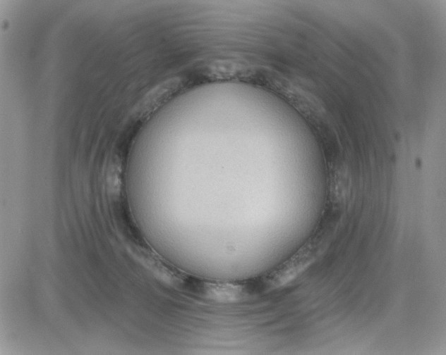 X0000081560226200701291158