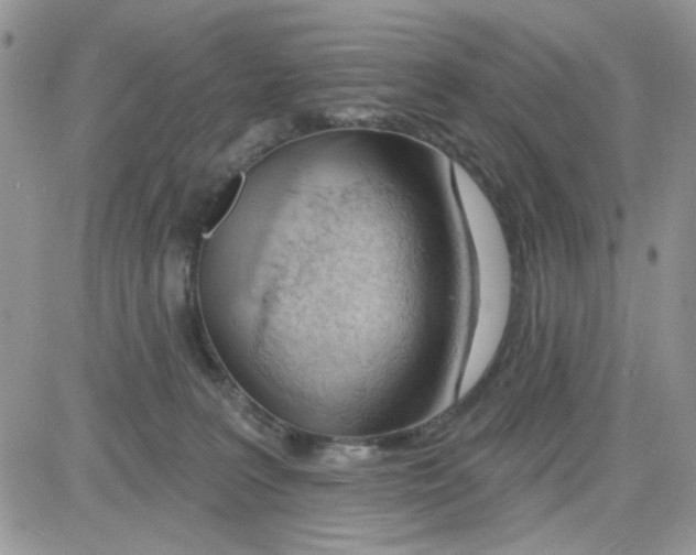 X0000081560227200701291158