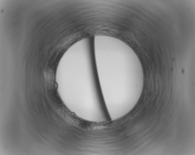 X0000081560228200701291158