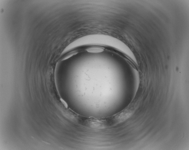 X0000081560229200701291158