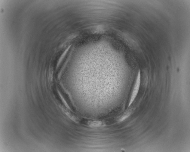 X0000081560230200701291158