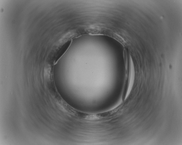 X0000081560231200701291157