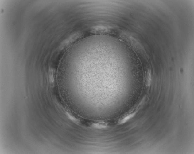 X0000081560232200701291157