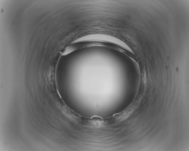 X0000081560233200701291157