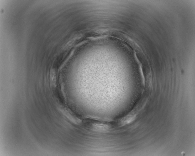 X0000081560234200701291157