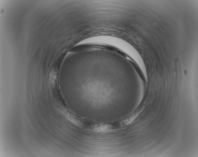 X0000081560235200701291157