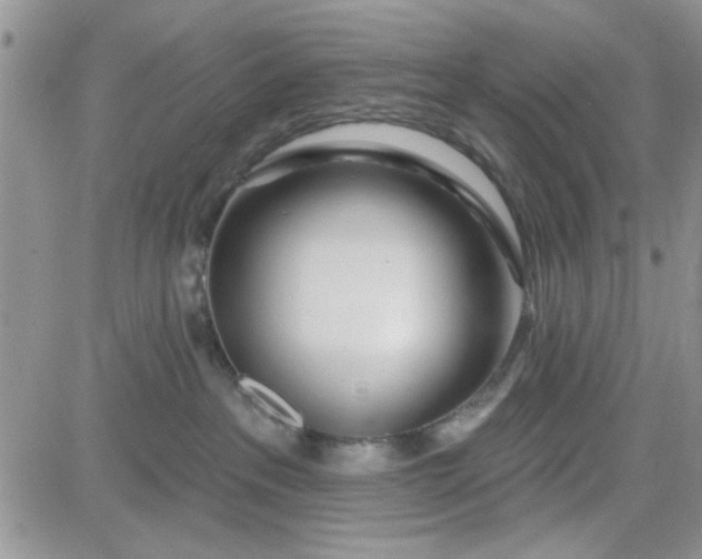 X0000081560237200701291157