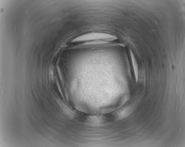 X0000081560238200701291157