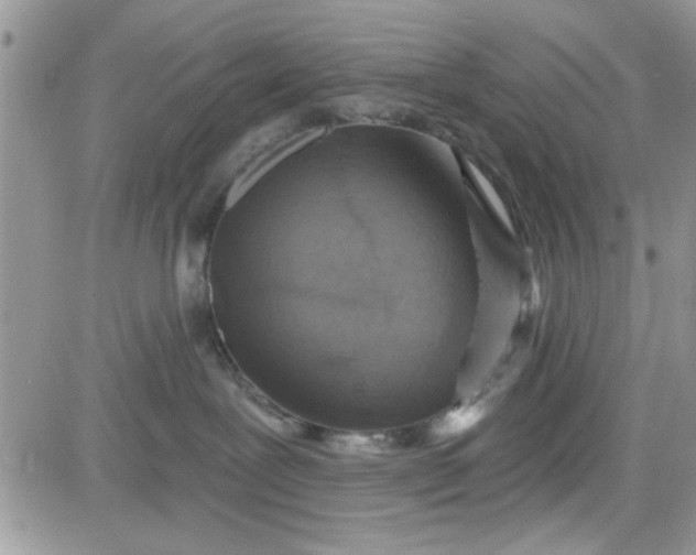 X0000081560239200701291157