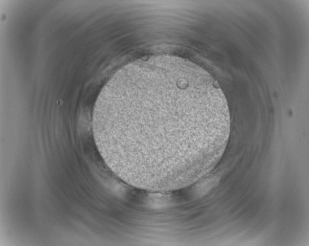 X0000081560240200701291157