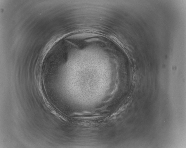 X0000081560241200701291157