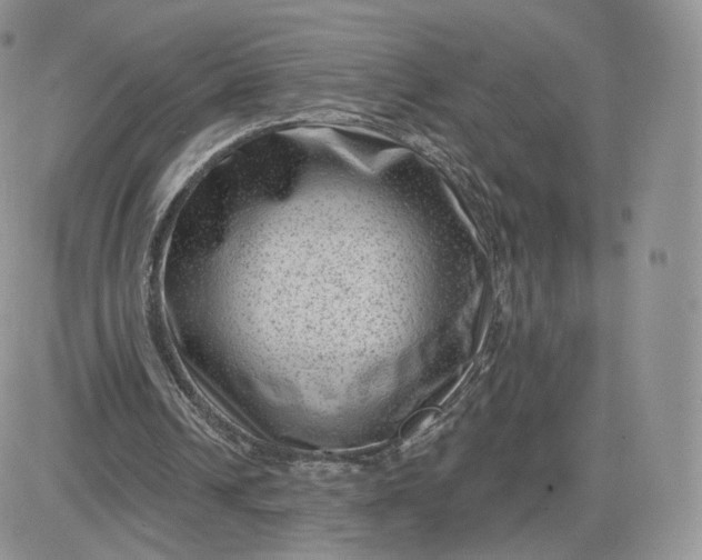 X0000081560242200701291157