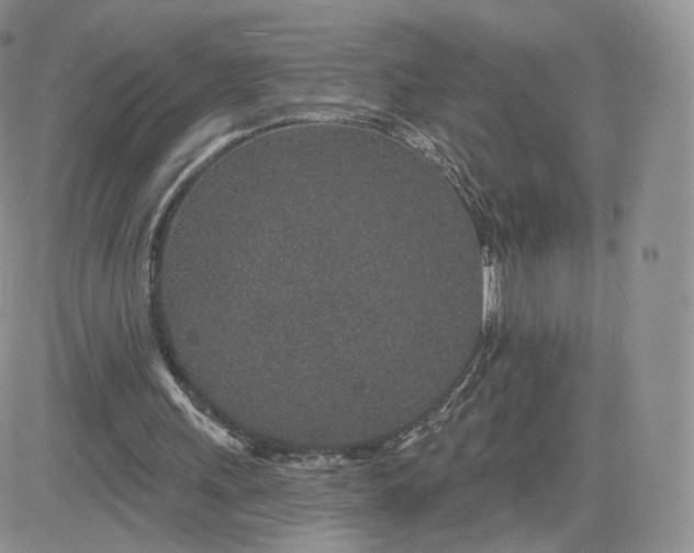 X0000081560243200701291157