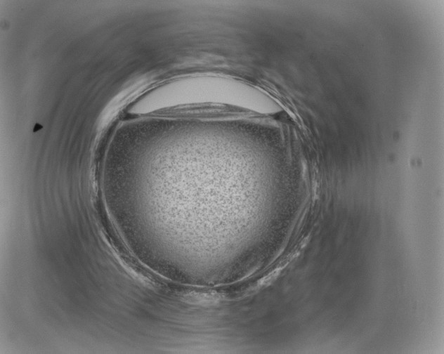 X0000081560245200701291157