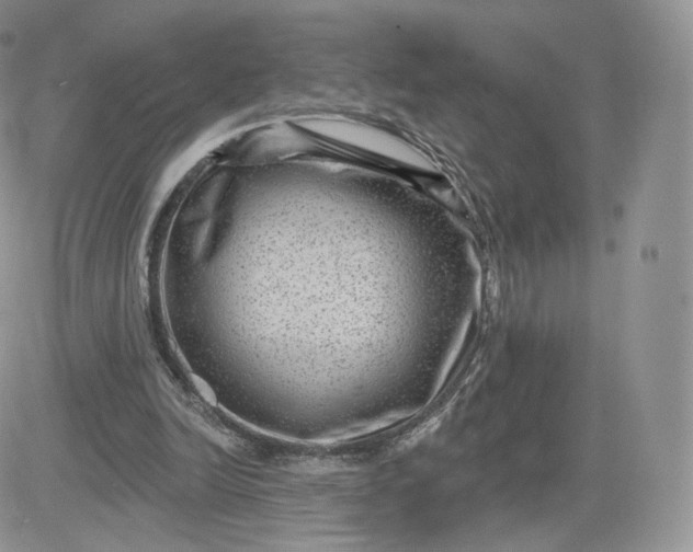 X0000081560246200701291157