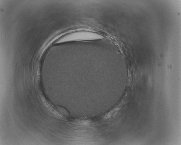 X0000081560247200701291157