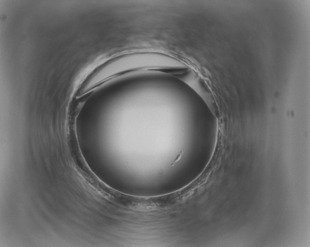 X0000081560248200701291157