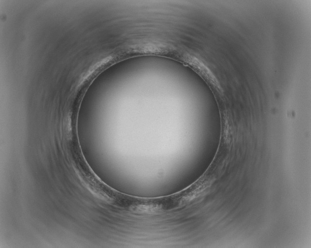 X0000081560251200701291157