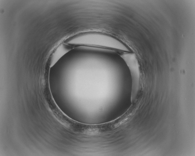 X0000081560252200701291157