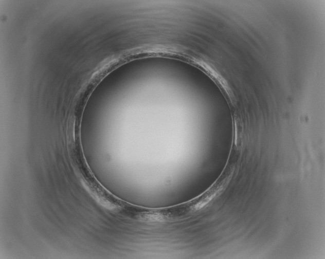 X0000081560253200701291157