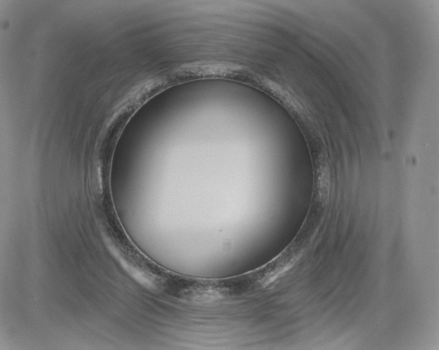 X0000081560254200701291157