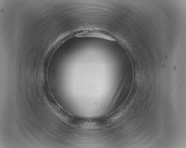 X0000081560256200701291157