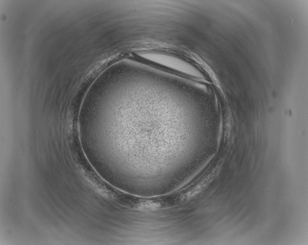 X0000081560257200701291157