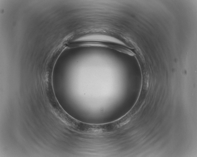 X0000081560260200701291157