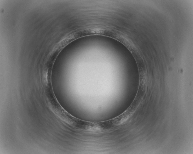 X0000081560262200701291157