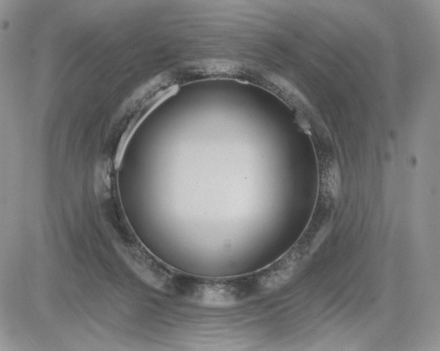 X0000081560264200701291157