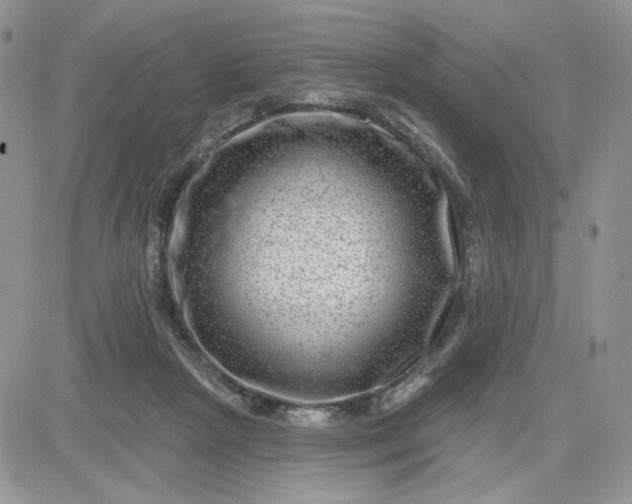 X0000081560265200701291157