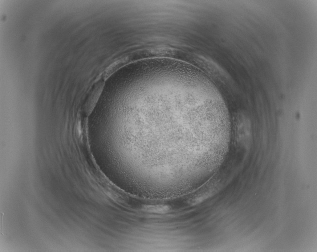 X0000081560266200701291157